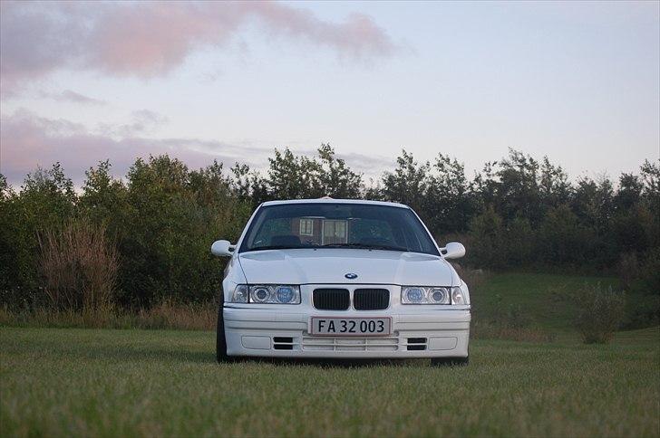 BMW E36  billede 6