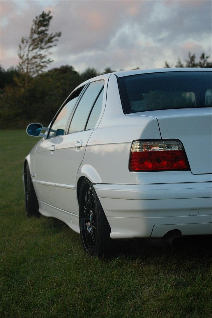 BMW E36  billede 9