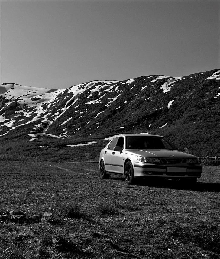 Saab 9-5 - Var lige et smut i Norge, Og desuden leget lidt med noget billedbehandling :) billede 15