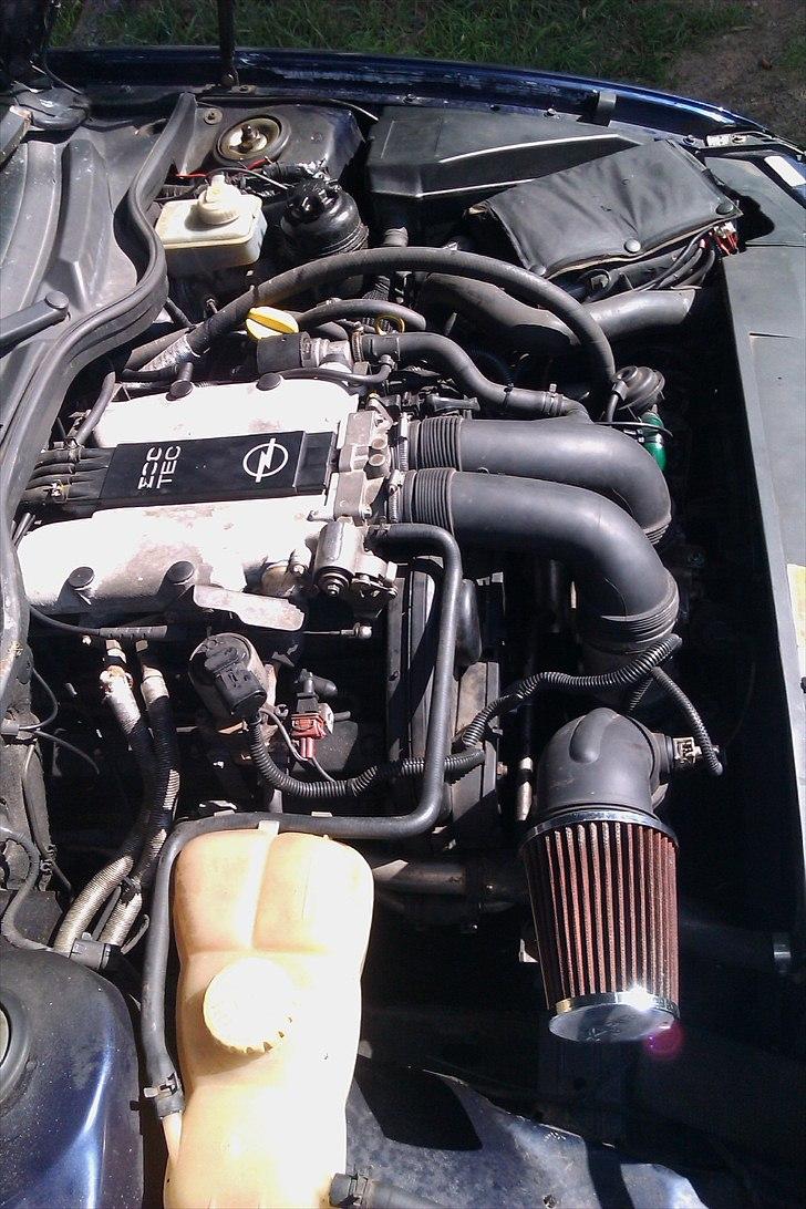 Opel Omega b 2,5 V6 byttet billede 8