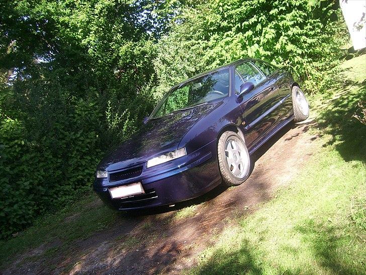 Opel calibra - endelig fik jeg lavet kofangeren og fået den malet :) et rådyr flækkede den på midten :( billede 17