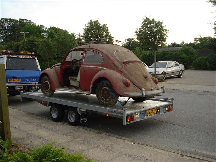 VW 113 bobbel - netop hentet billede 2