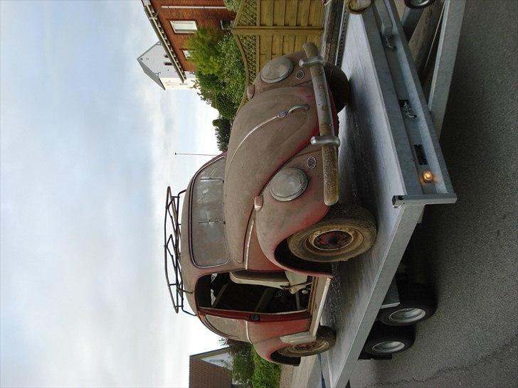 VW 113 bobbel - lækker er den nu billede 4