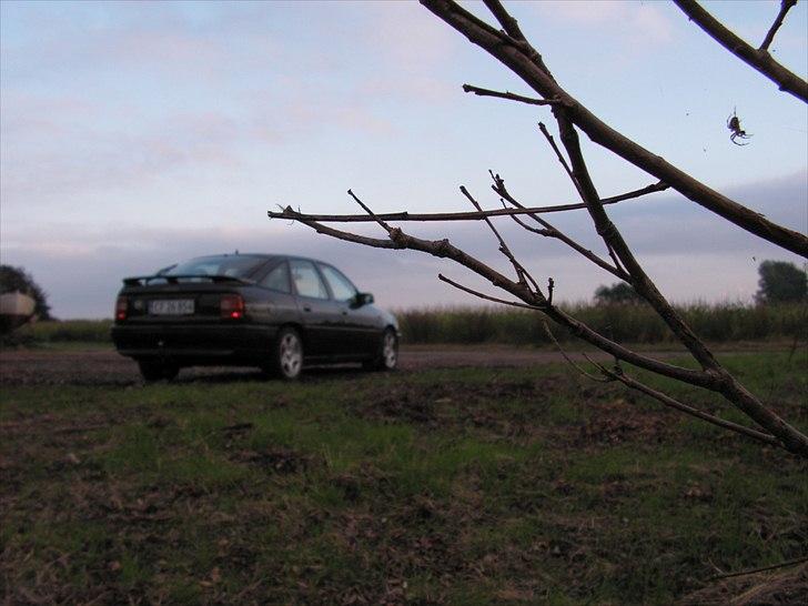 Opel Vectra 2.0i *BYTTET* billede 3