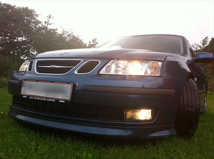 Saab 9-3 SportCombi Hirsch billede 1