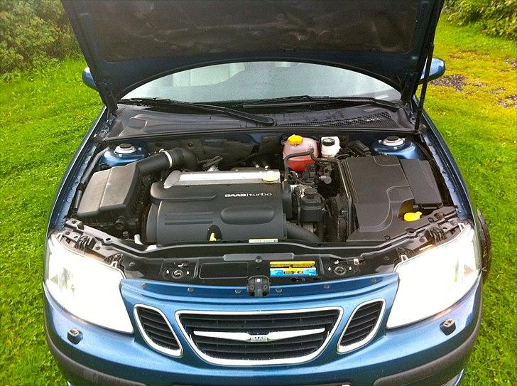 Saab 9-3 SportCombi Hirsch billede 5