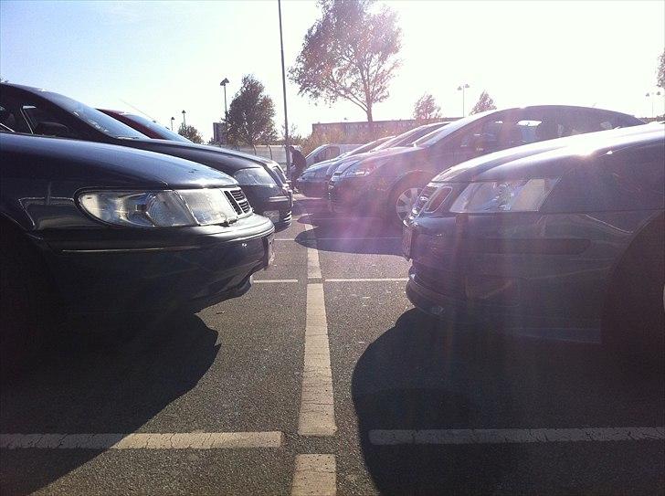 Saab 9-3 SportCombi Hirsch billede 8