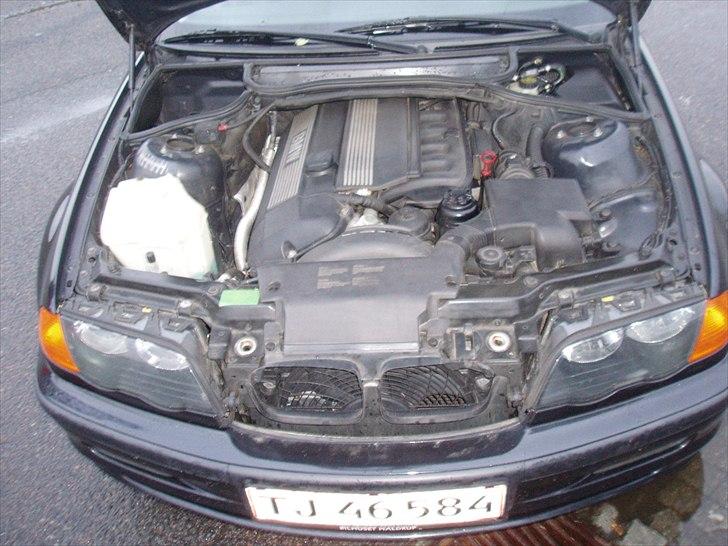 BMW E46 320i billede 8