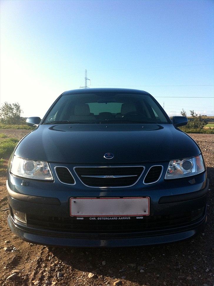 Saab 9-3 SportCombi Hirsch billede 9