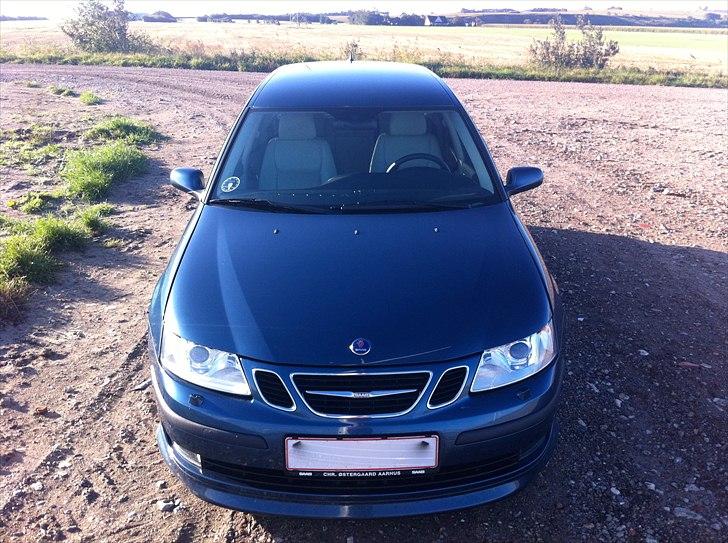 Saab 9-3 SportCombi Hirsch billede 12