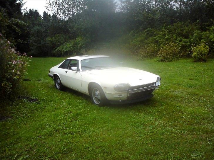 Jaguar xj-s v12 billede 1