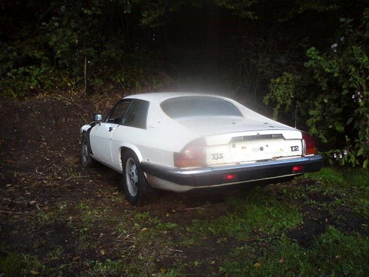 Jaguar xj-s v12 billede 2