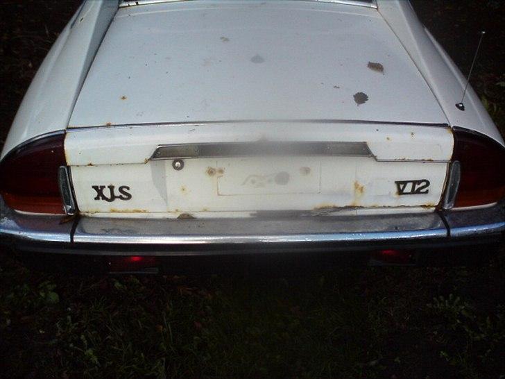 Jaguar xj-s v12 billede 3