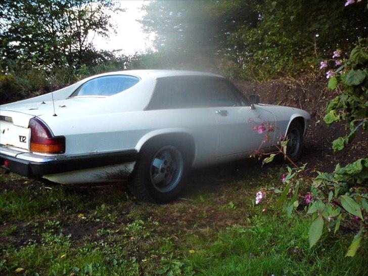 Jaguar xj-s v12 billede 4