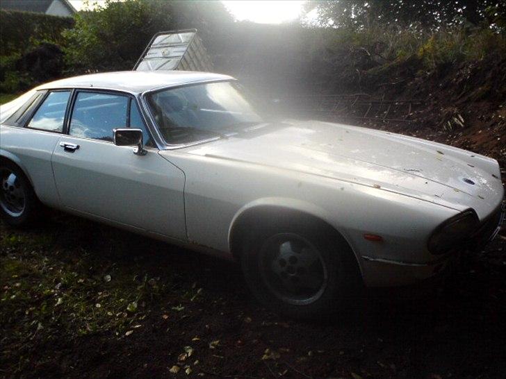 Jaguar xj-s v12 billede 5