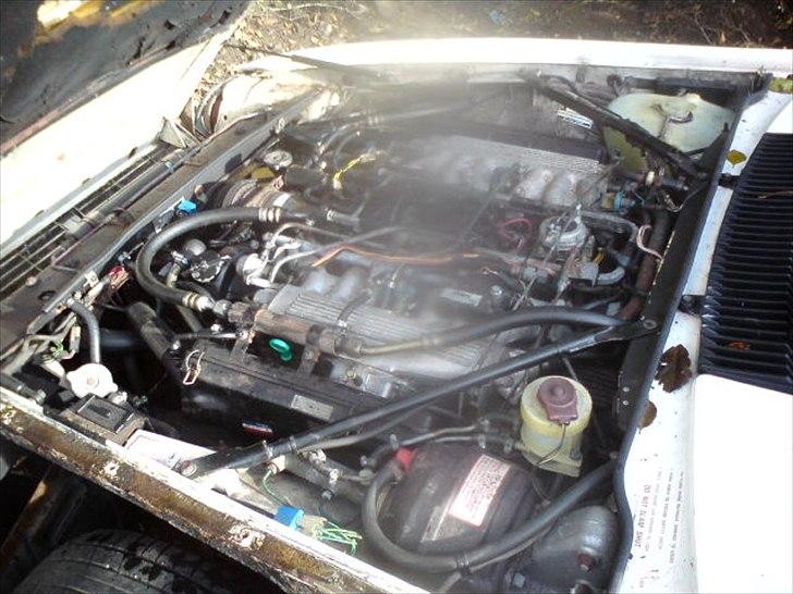 Jaguar xj-s v12 billede 9