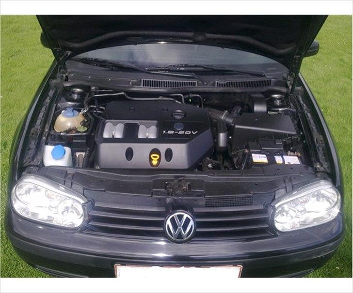 VW Golf IV billede 6