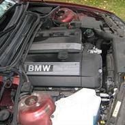 BMW 323CI 