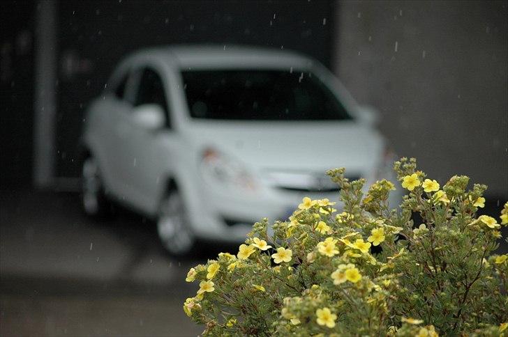 Opel Corsa D 111 Edition billede 14