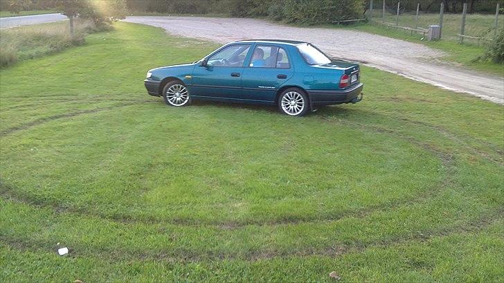 Nissan sunny -solgt- - Ja ja det er min egen græsmark;) billede 11