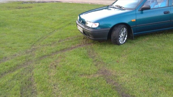 Nissan sunny -solgt- - Ja ja det er min egen græsmark;) billede 12