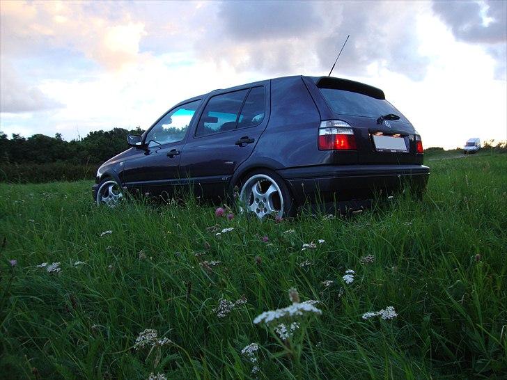 VW Golf III TDI GT Special billede 5