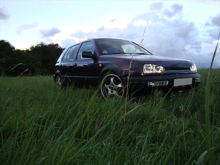 VW Golf III TDI GT Special billede 6