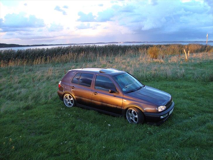 VW Golf III TDI GT Special billede 7