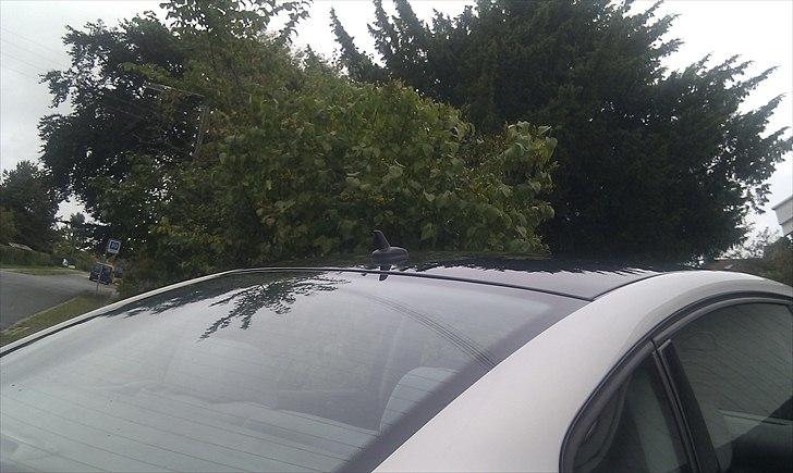 VW Passat 1.8 billede 8