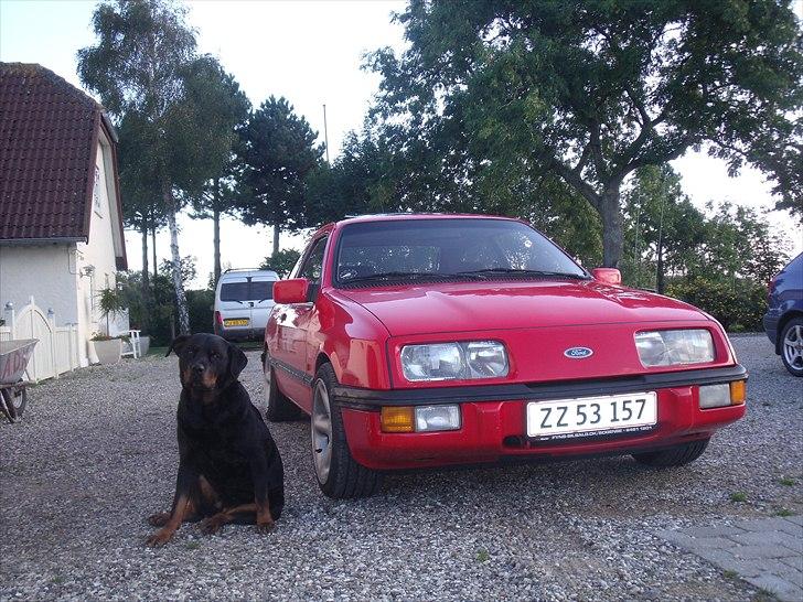 Ford Sierra MK1 - Ud og køre bil? billede 16