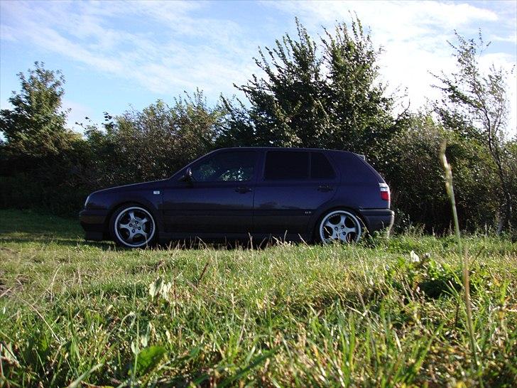 VW Golf III TDI GT Special billede 12