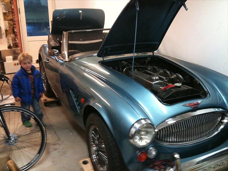 Austin Austin Healey 3000 billede 1