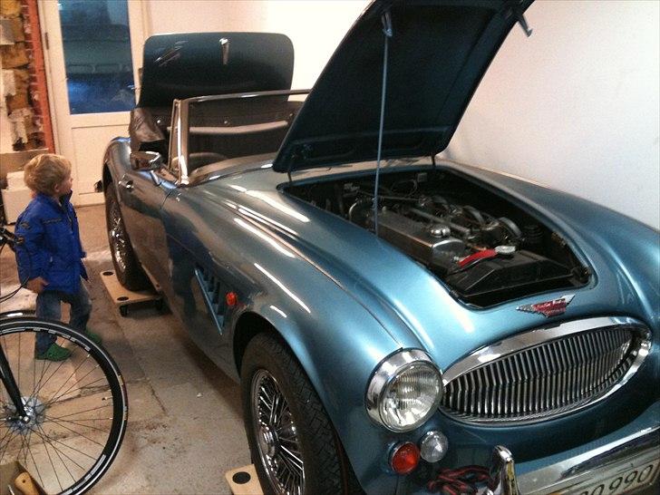 Austin Austin Healey 3000 billede 6