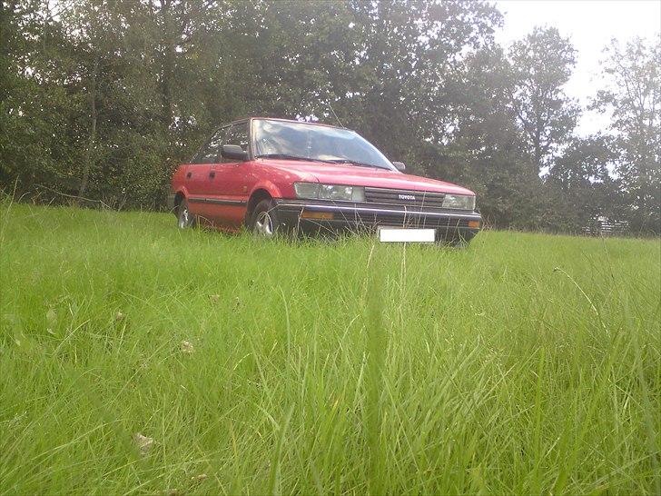 Toyota Corolla 1.3 XL SOLGT!! billede 1