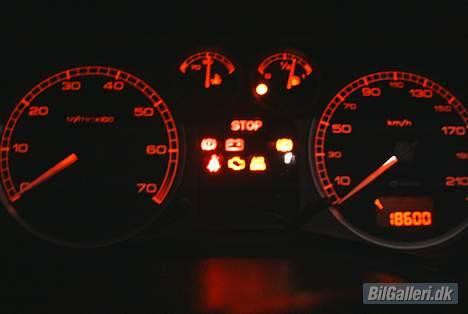 Peugeot 307 XR billede 10