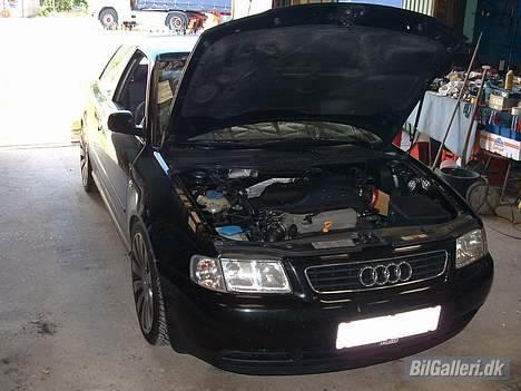 Audi A3 1,8T - Så kom der filter på:D Så kan man sku høre turboen lidt mere hehe den lyd bliver man ALDRIG træt af:D billede 11