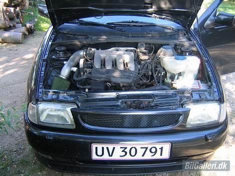 Seat Ibiza Cupra billede 5