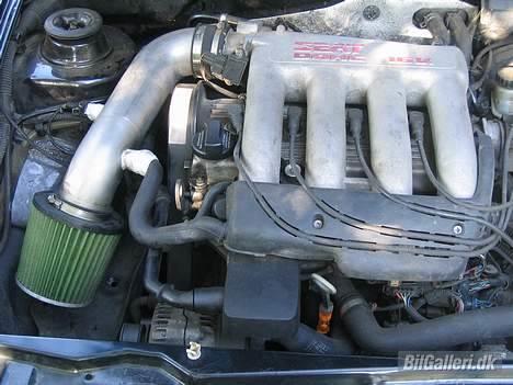 Seat Ibiza Cupra billede 6