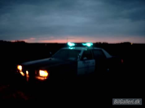 Pontiac Catalina politibil - Hele det grå panels kontakter slået til. (Kan slå fast baklys, fast bremselys, blinklys og lanterne  og en masse andre funktioner) billede 12
