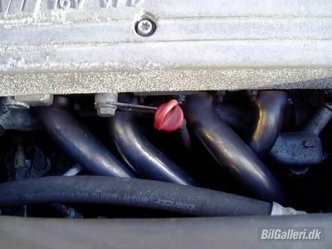 Fiat Punto HGT - Banan manifold fra Supersprint ;-) billede 11