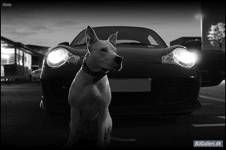 Porsche 911 Turbo  ** SOLGT ** billede 12