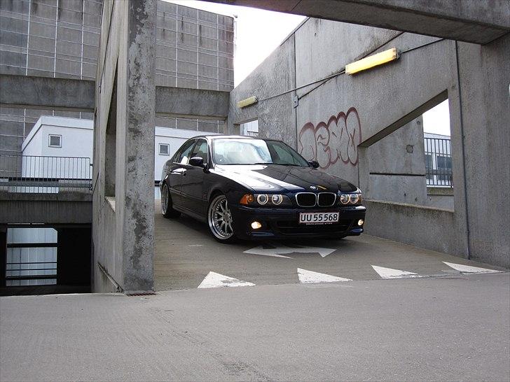 BMW 530i E39 billede 11