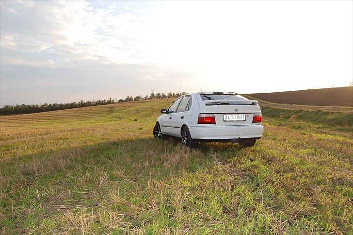 Toyota Corolla XLi billede 11