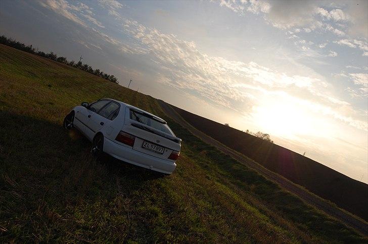 Toyota Corolla XLi billede 12