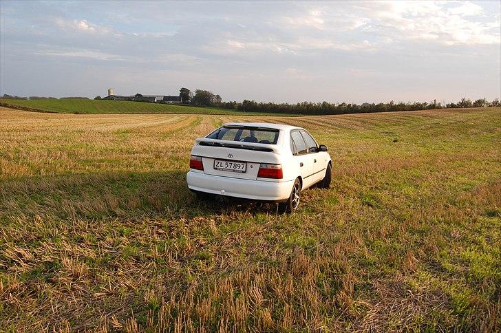 Toyota Corolla XLi billede 13