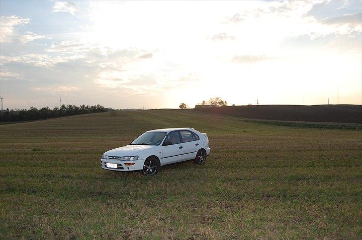 Toyota Corolla XLi billede 19