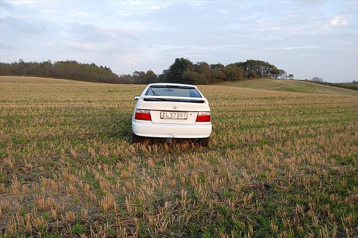 Toyota Corolla XLi billede 20