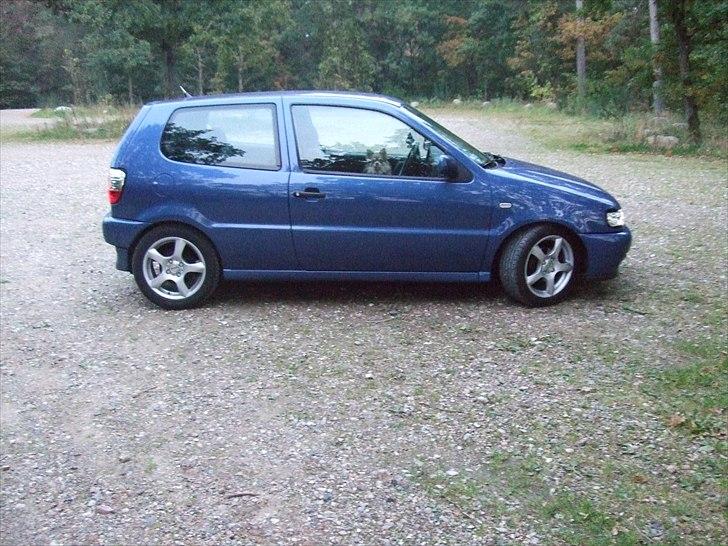 VW Polo 6n solgt billede 3