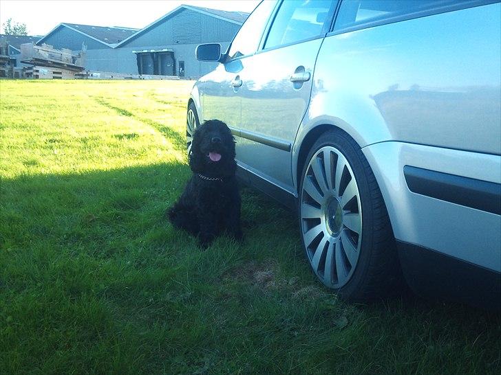 VW Passat Variant billede 7