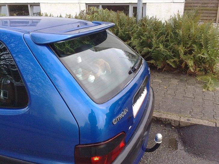 Citroën saxo **SOLGT** - ved at lave rust billede 7